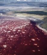 Nord de la Tanzanie, lac Natron (John Warburton-Lee) - Muzeo.com