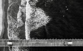 Ocean Pier (Rob Darby) - Muzeo.com