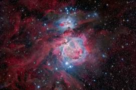 Orion (Vikas Chander) - Muzeo.com