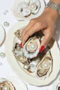 Oysters a Pearls No 02 (1x Studio III) - Muzeo.com