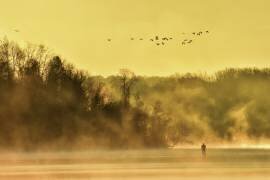 Pagayer en automne (Eric Zhang) - Muzeo.com