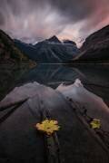 Peaceful (Lydia Jacobs) - Muzeo.com