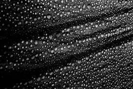 Perles de pluie de culture (Simon Ciappara) - Muzeo.com