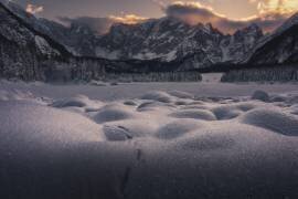 Profitez du silence (Thomas de Franzoni) - Muzeo.com