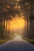 Pursuing the light at the end of the road (Ye) - Muzeo.com