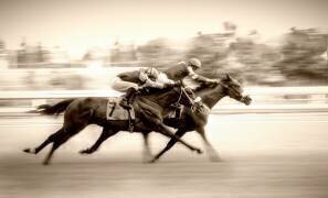 Racing (little7) - Muzeo.com