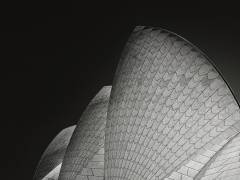 Rafters and Curves (Mathilde Guillemot) - Muzeo.com