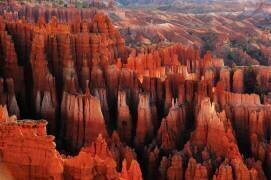 Red City (Austin Li) - Muzeo.com
