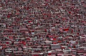Red houses (Ali Al-Jazeri) - Muzeo.com