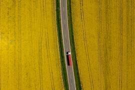 Red truck (Jure Kravanja) - Muzeo.com