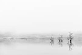 Reflejos en la niebla (Fernando Martin Sanchez) - Muzeo.com