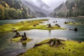 River Carpet  1288 (Karen Celella) - Muzeo.com