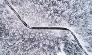 Route à travers la forêt d'hiver (Ales Krivec) - Muzeo.com