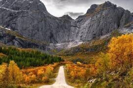 Road to the Wall (Łukasz Winiarski) - Muzeo.com