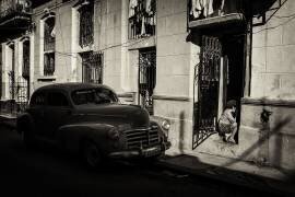 Rue de la Habana (Koji Morishige) - Muzeo.com