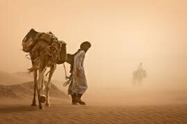 Sand Storm (Jovelino) - Muzeo.com