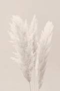 Sans titre (1x Studio III) - Muzeo.com