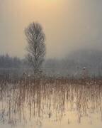Sans titre (Anastasios Gialopoulos) - Muzeo.com