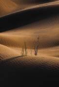 Ombre et lumière (Abolfazl Arab) - Muzeo.com