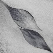 Shaped by a creative wind (Piet Flour) - Muzeo.com