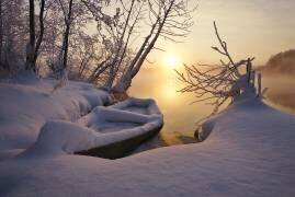 Shatura matin (Alexey Kharitonov) - Muzeo.com
