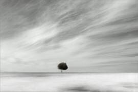 Single (Gilbert Claes ) - Muzeo.com
