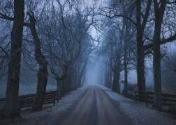 Sleepy hollow (Christian Lindsten) - Muzeo.com