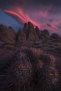 Sleuth of Scintillance (Ryan Dyar) - Muzeo.com