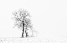 Le petit monde (Dan Meeusen) - Muzeo.com