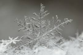 Snowflake (Tsolmon Naidandorj) - Muzeo.com
