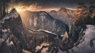 Sokolica (Karol Nienartowicz) - Muzeo.com