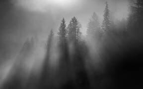 Soleil d'hiver (Andy Dauer) - Muzeo.com