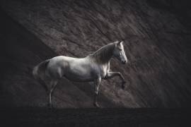 Solitaire (Heike Willers) - Muzeo.com