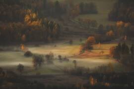 Speak of the Sun (Izabela...) - Muzeo.com