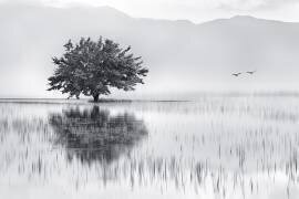 Spring Mirror (Maria Kaimaki) - Muzeo.com