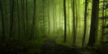 Spring Promise (Norbert Maier) - Muzeo.com