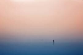 Stand up paddling (Uschi Hermann) - Muzeo.com