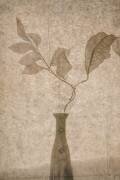 Still Life (Igor Tokarev) - Muzeo.com