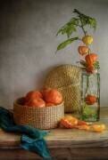 Still life with Clementines (Mandy Disher) - Muzeo.com