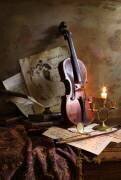 Still life with violin (Andrey Morozov) - Muzeo.com