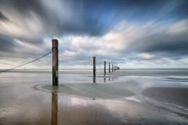Still standing (Christophe Staelens) - Muzeo.com