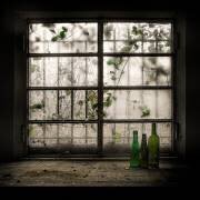 Still-Life with glass bottle (Vito Guarino) - Muzeo.com