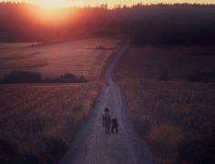 Summerset (Artur Pardo) - Muzeo.com