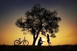 Sun for you (Deniz Ener) - Muzeo.com