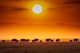 Sunrise parade (Jeffrey C. Sink) - Muzeo.com