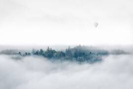 Surprise du matin brumeux (Matthias Bergolth ) - Muzeo.com