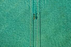 Swimmer (Hossein Nikzad Amoli) - Muzeo.com