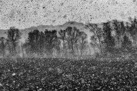 Tempête de neige (Aleš Klabus) - Muzeo.com