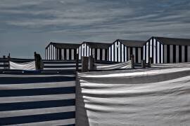 Territorial behavior (Gilbert Claes ) - Muzeo.com