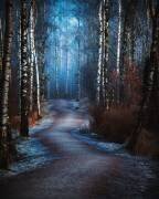 The beauty path (Micael Dillner) - Muzeo.com